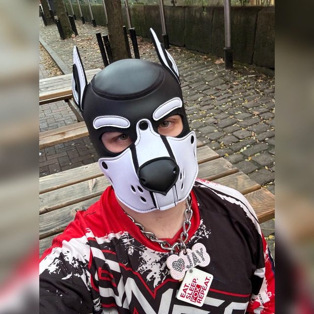 Fursona created by PupShade